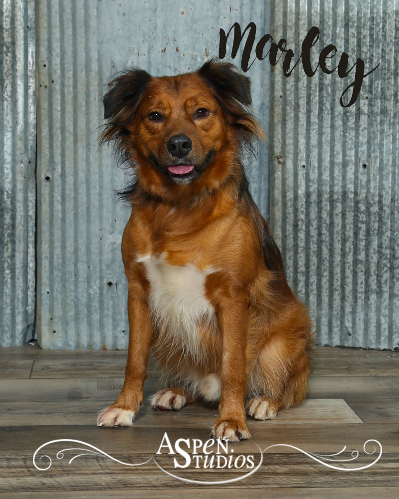Marley